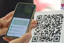 越南于4月15日向人民发放疫苗护照 