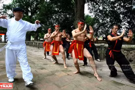 越南传统武学精髓（组图）