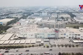 国际组织：越南经济复苏前景乐观