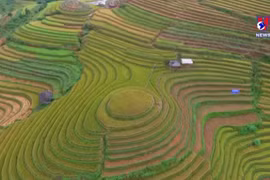 世界权威在线旅游信息网站推广越南领先旅游目的地