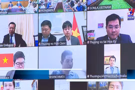 为越南龙眼出口敞开大门