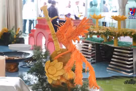 越南九龙江三角洲130道传统菜肴创下越南记录