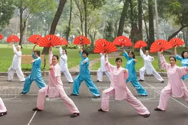 组图：扇子--越南传统武术的18种兵器之一