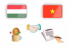 图表新闻：越南-匈牙利全面伙伴关系