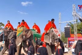 邦敦大象节推广大象友好型旅游