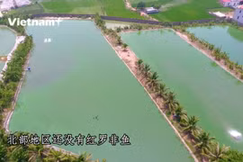 海阳省农民成功在泾柴江上开展网箱养鱼模式