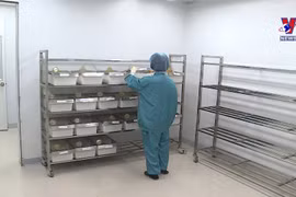 越南招募参加新冠疫苗第一阶段临床试验的志愿者