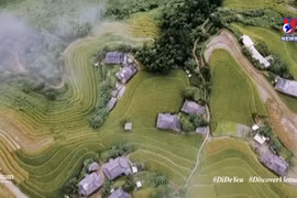 《越南：为爱而去》宣传片点击量达数百万人次