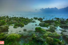 组图：宁顺省美丽如画的“海藻田”
