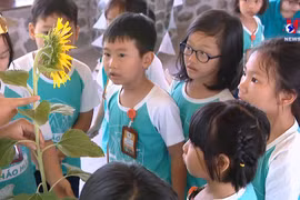 参加夏令营让孩子融入大自然