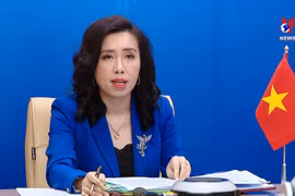 越南坚决反对侵犯越南对长沙群岛主权的一切行为