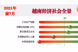 互动图表：2021年前7月越南经济社会全景