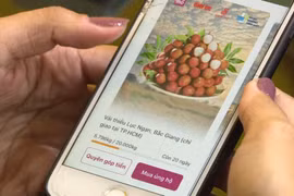 通过MoMo电子钱包出售近30吨荔枝