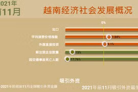 互动图表：2021年前11月越南经济社会发展概况