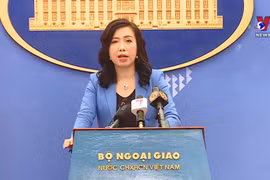 越南外交部例行新闻发布会在河内召开