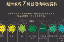 图表新闻：越南发现七种新冠病毒变异株
