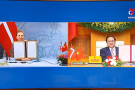 越南与丹麦宣布建立绿色战略伙伴关系