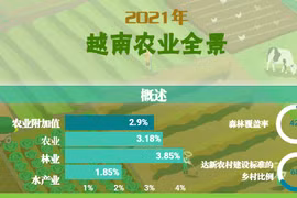 互动图表：2021年越南农业全景