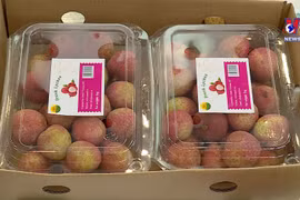全国各省通过电商贸易平台促进农产品销售