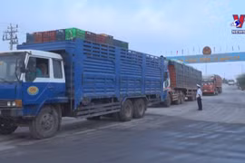 同塔省边检力量加强边境地区疫情防控措施