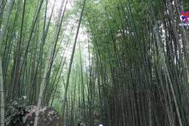 北件省努力将‘一乡一品’产品带入旅游体验中