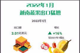 互动图表：2022年1月越南蔬果出口猛增