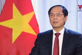 越南外长接受采访：越柬两国保持团结一心与互助互济