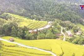 越南荣获“2022年世界最佳遗产目的地”奖