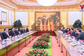 越南国会主席王廷惠会见中共中央总书记、中华人民共和国主席习近平