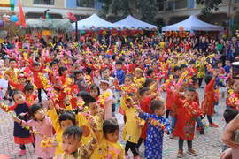 越南全国各地举行多彩活动 迎接2019年春节（组图）