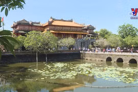 顺化市致力于打造减塑旅游目的地形象