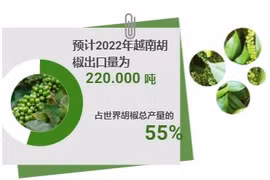 互动图表：越南稳居世界胡椒第一出口国