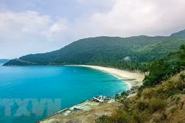 越南4个最具吸引力的潜水胜地
