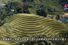 沙坝和芹苴跻身亚洲秋季最佳旅游目的地名单
