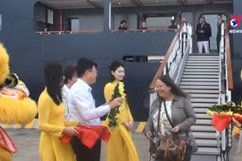 五星级邮轮游客对下龙湾的壮丽风景印象深刻
