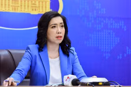 外交部发声：越南将为外国投资商创造一切便利