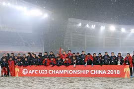 组图：越南体育70周年：为建设越南体育强国多作贡献的运动员