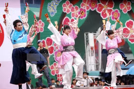 日本艺术家的表演节目