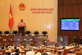 越南第十三届国会第十次会议​ （图片来源：越通社）