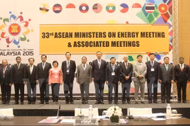 参加第33届东盟能源部长会议的代表们合影留念（图片来源：越通社）