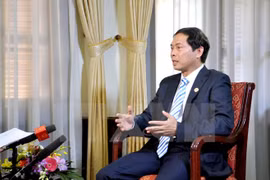 越南外交部副部长裴青山接受记者的采访（图片来源：越通社）