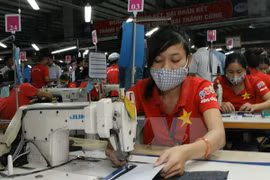 由于TPP成员国降低进口关税，越南纺织服装产业受益较大。