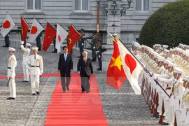 越共中央总书记阮富仲与日本首相安倍晋三。