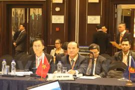 出席SAMMRRVE会议的越南代表团。