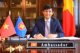 越南常驻东盟代表团团长阮横年大使。
