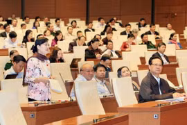 胡志明市国会代表阮氏决心在会议上进行质询（图片来源：越通社）
