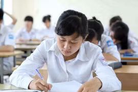 越南在国际学生评估项目排行榜上居高位 （图片来源：越通社）