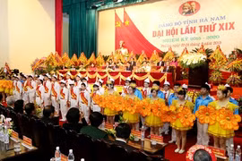 越共河南省第
