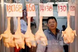 中国一家卖家禽的商店（图片来源：越通社）