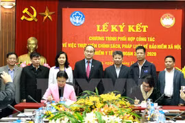 越南祖国阵线中央委员会与越南社会保险签署合作计划（图片来源：越通社）